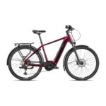 BESV TR 1.1 MY22 Step Over 560 Large E-cykel Bourgogne Glans