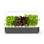 Click and Grow Smart Garden 9 Starter kit